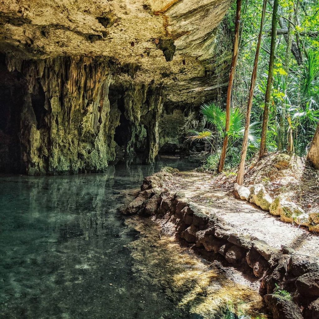 5 Cenotes Secretos De Quintana Roo Que No Puedes Dejar De Visitar