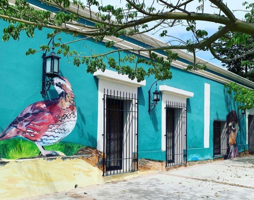 Cócorit: El ‘Pueblo de las aves’ lleno de herencia Yaqui y hermosos murales de pajaritos