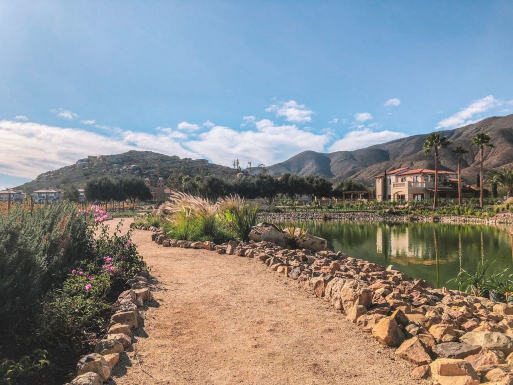 Top 8 de vinos del Valle de Guadalupe que debes tener en tu cava