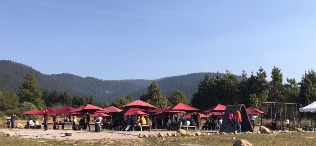 Parrilla Bosque: el plan perfecto de finde (y al aire libre) para un asado con tus amigos o familia