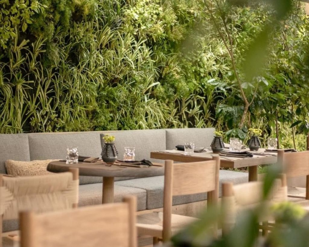 Rocasal: El restaurante más bonito del Pedregal para disfrutar cocina sustentable de sabores mediterráneos