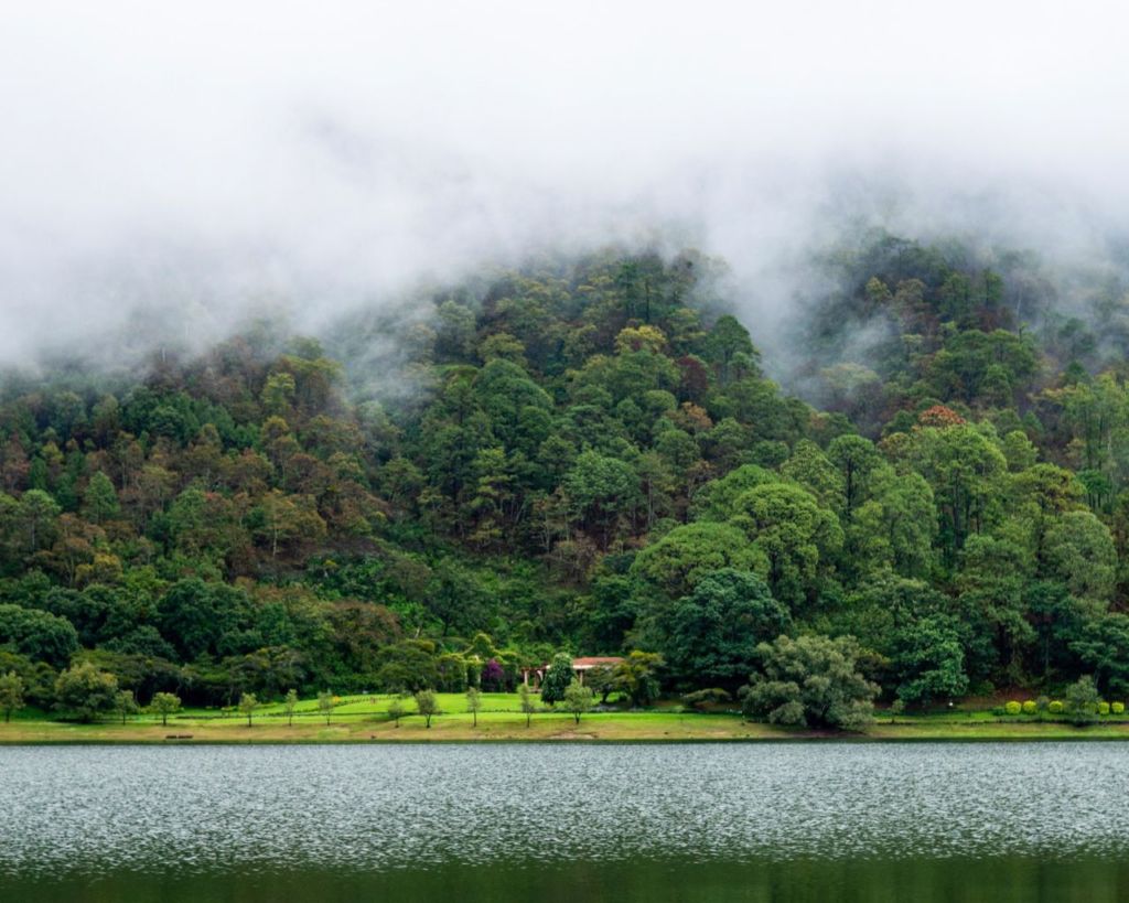 En estas cabañas de lujo podrás dar paseos en carruaje junto a uno de los lagos más bonitos de México