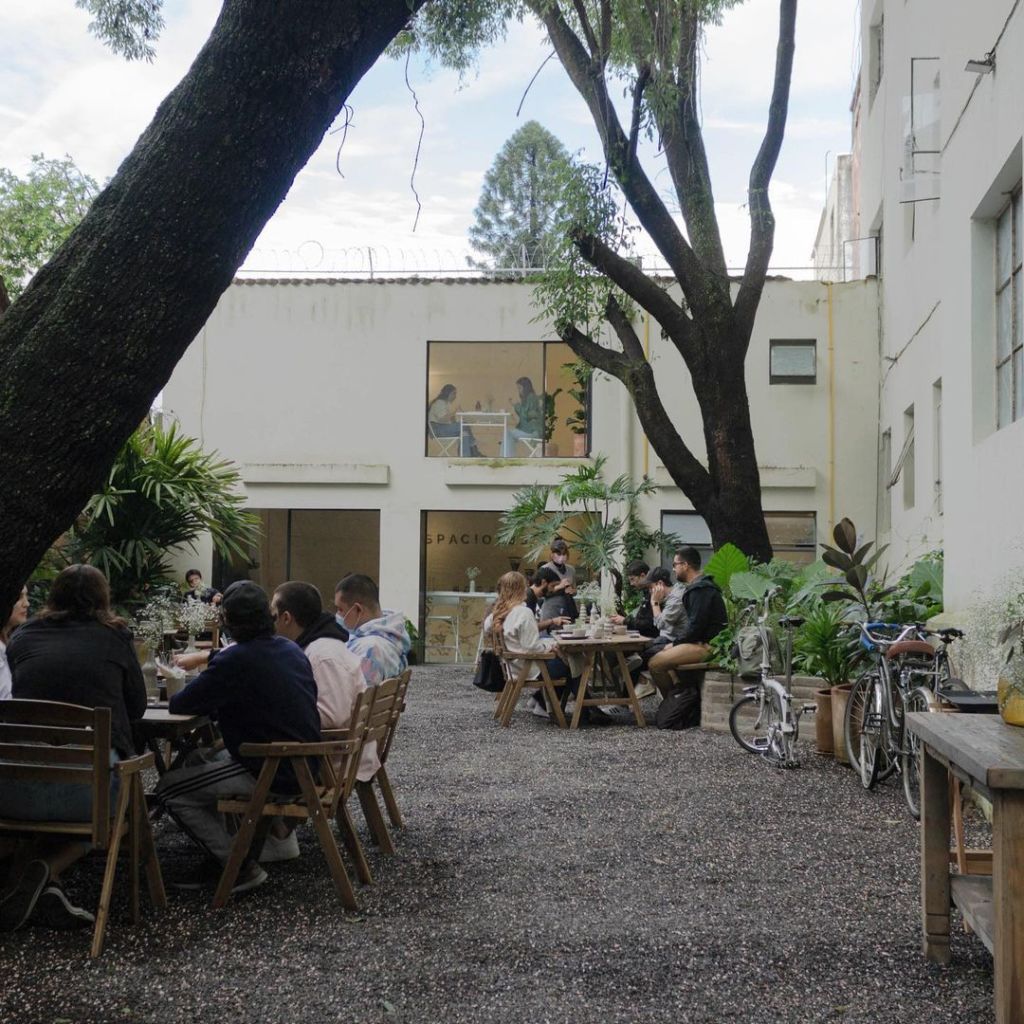 8 de las cafeterías más encantadoras de Guadalajara (rodeadas de arte y naturaleza)