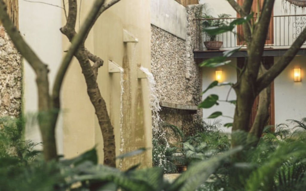 Treehouse: el hotel más romántico de Mérida, perfecto para una escapada en pareja