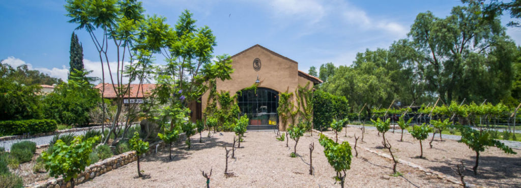 Este hermoso viñedo es de los secretos mejor guardados de Guanajuato (catas personalizadas y experiencias ecuestres)