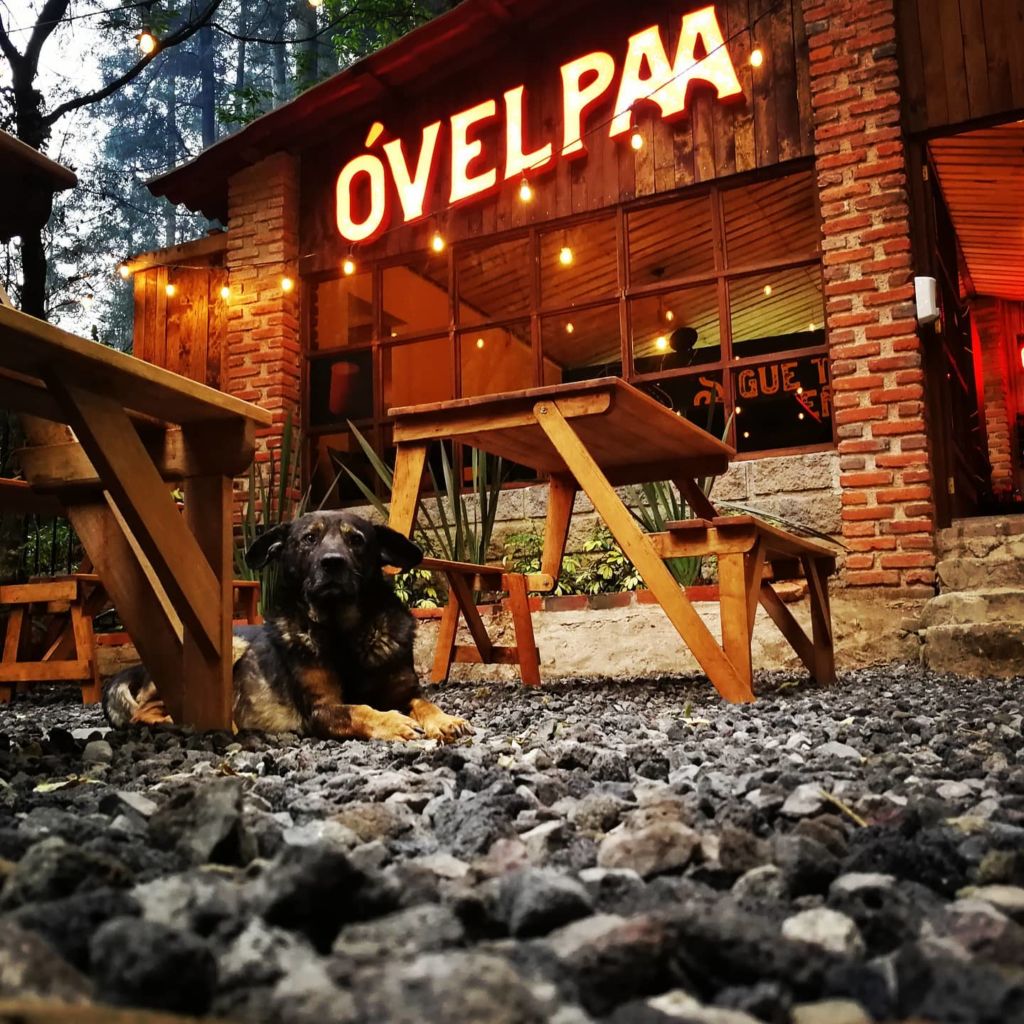 Desayuna en medio del bosque y vive una ruta de biking increíble