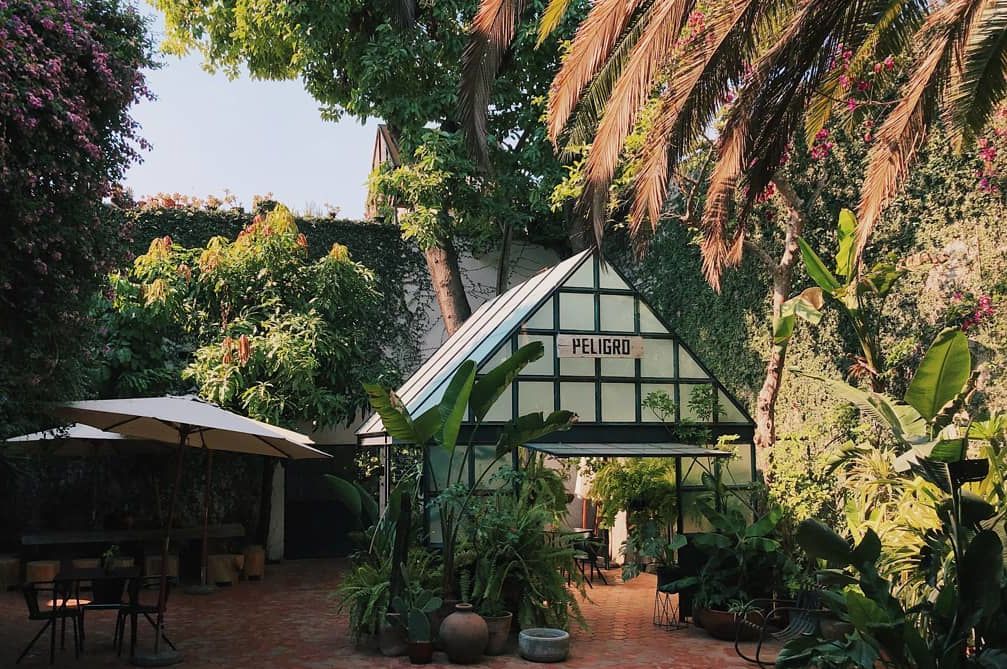 Este jardín secreto de Guadalajara tiene un precioso invernadero,'drinks'  refrescantes y cocina mediterránea