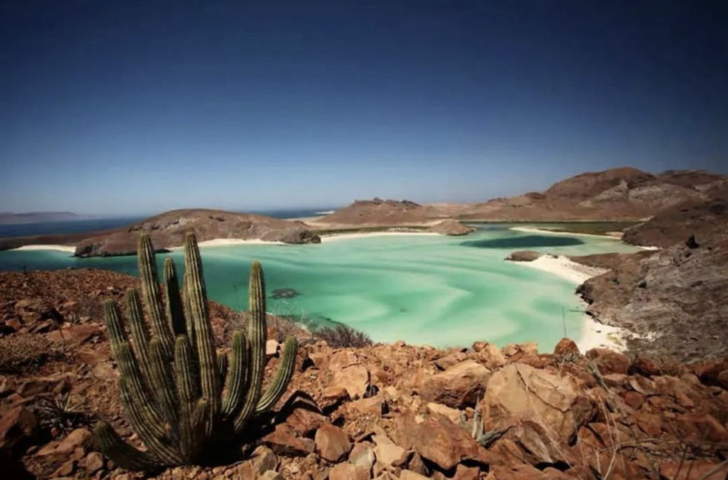 Playa Balandra: un paraíso secreto con aguas azul turquesa que te enamorará&nbsp;