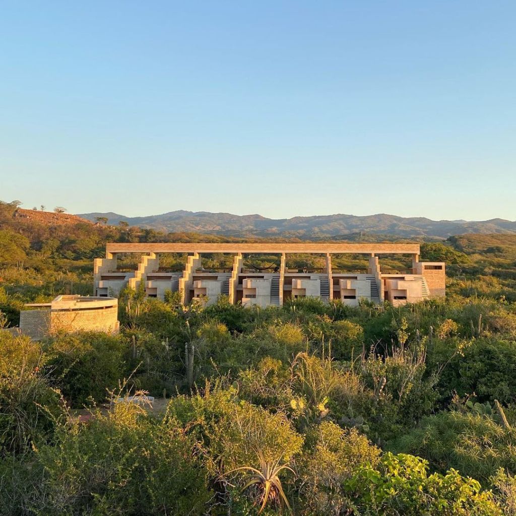 Terrestre: el nuevo hotel de Grupo Habita escondido en un jardín de orquídeas oaxaqueño