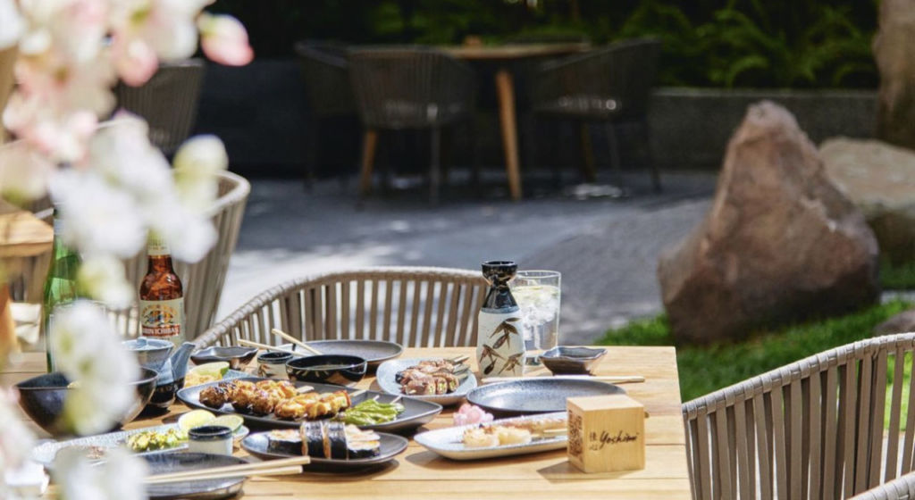 Hanami Sakura: el festival japonés de Yoshimi para recibir la primavera