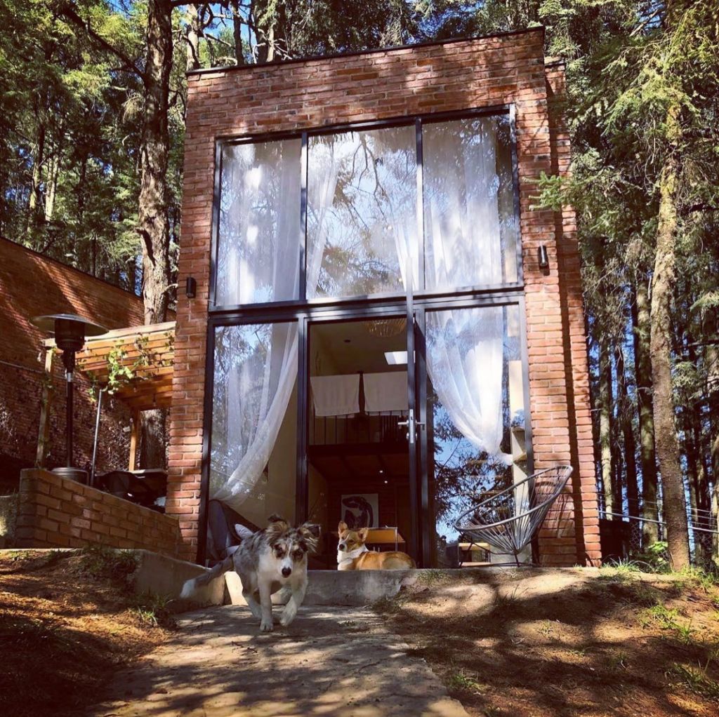 cabañas -bosque