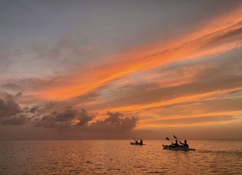 Excursiones por los canales de manglar, snorkel y puestas de sol en este paraíso del mar Caribe