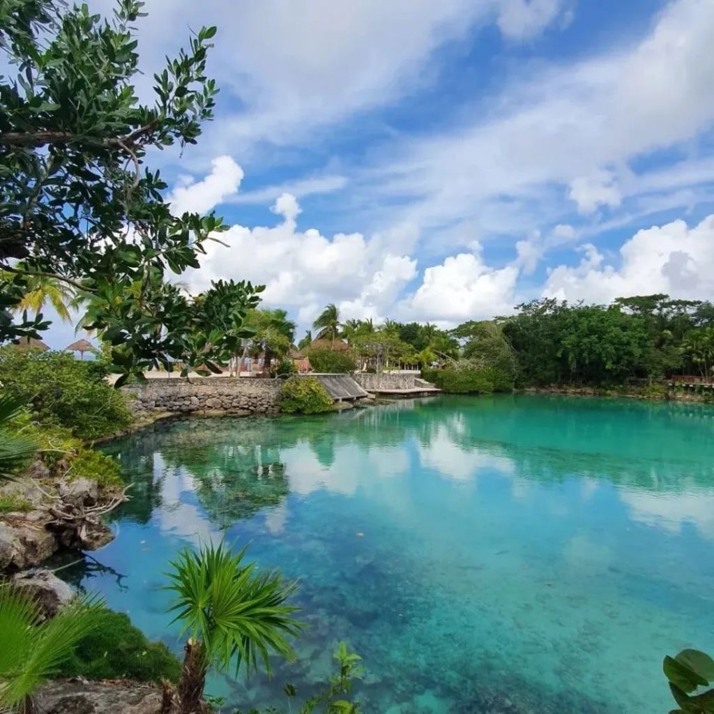 Chankanaab: el paraíso caribeño para hacer sea buceo entre arrecifes