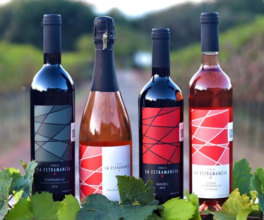 estramancia-viñedo