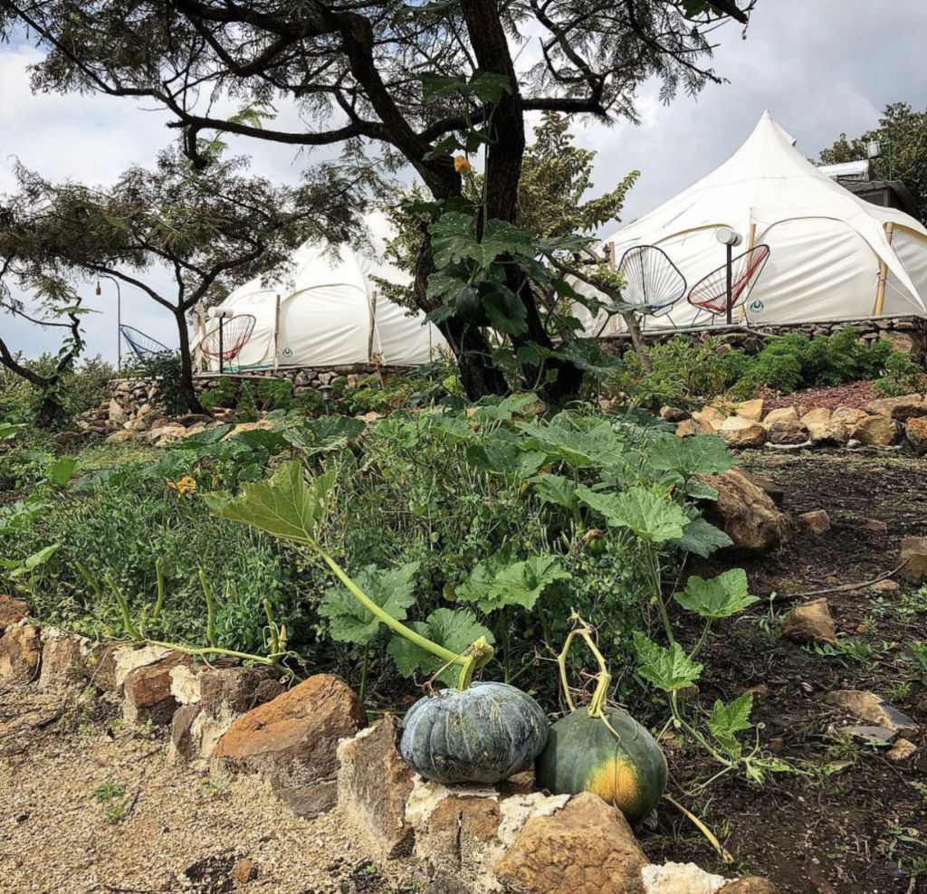 huertos-organicos-tepoz