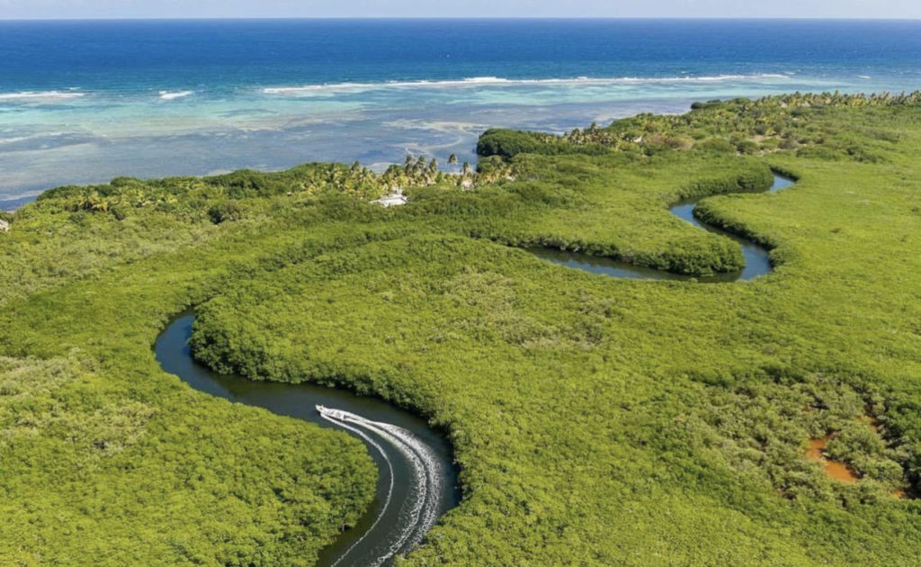 Xcalak: la playa para nadar entre arrecifes, manatíes y peces de colores
