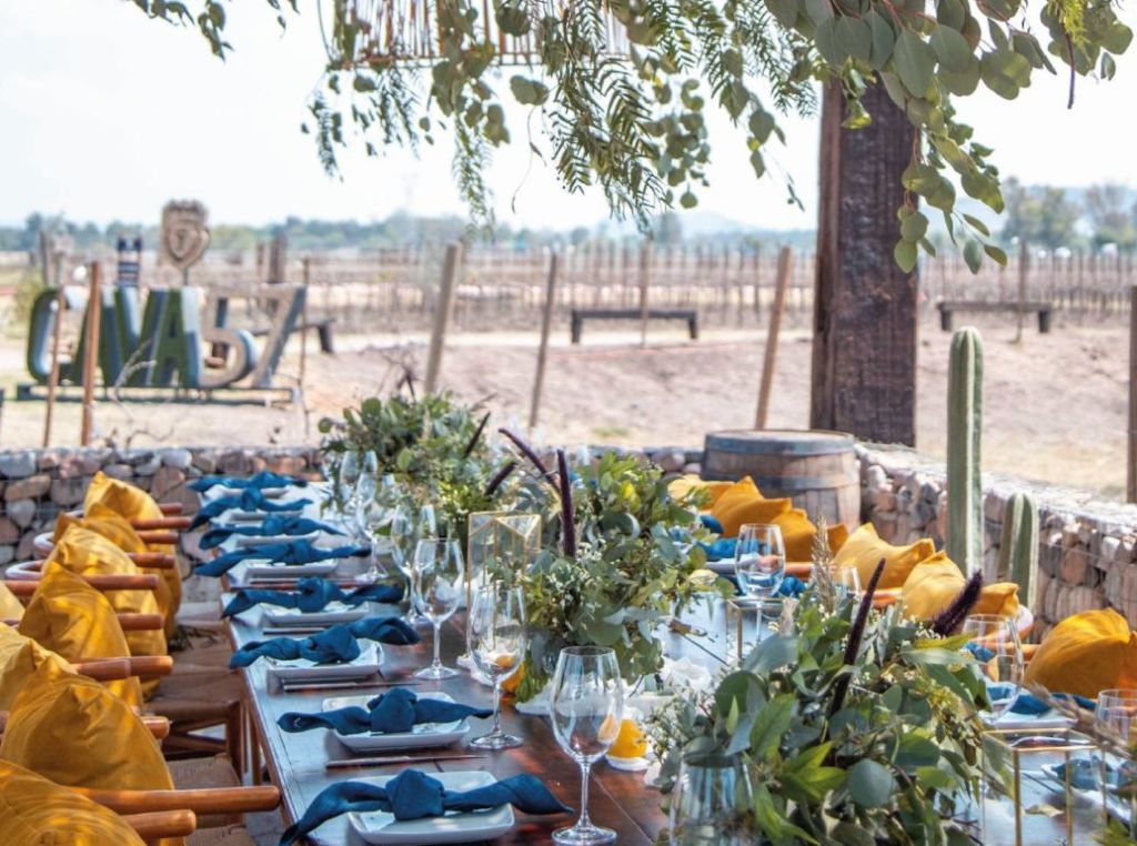 En este hermoso viñedo queretano podrás cenar entre plantaciones de vid (a tres horas de la CDMX)