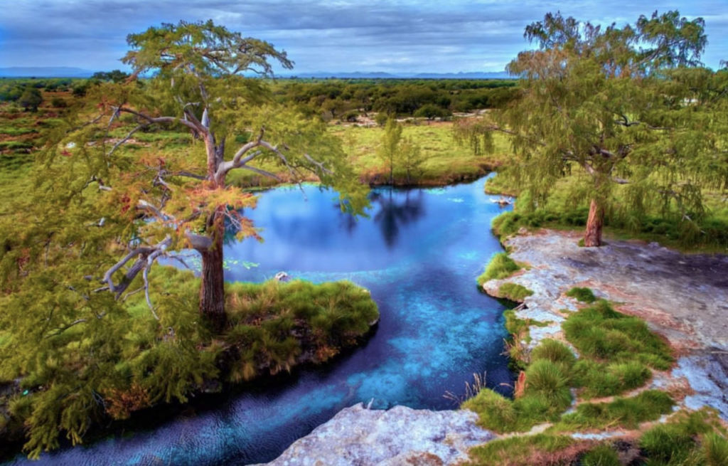 Bucea en este manantial rodeado de árboles milenarios en Río Verde