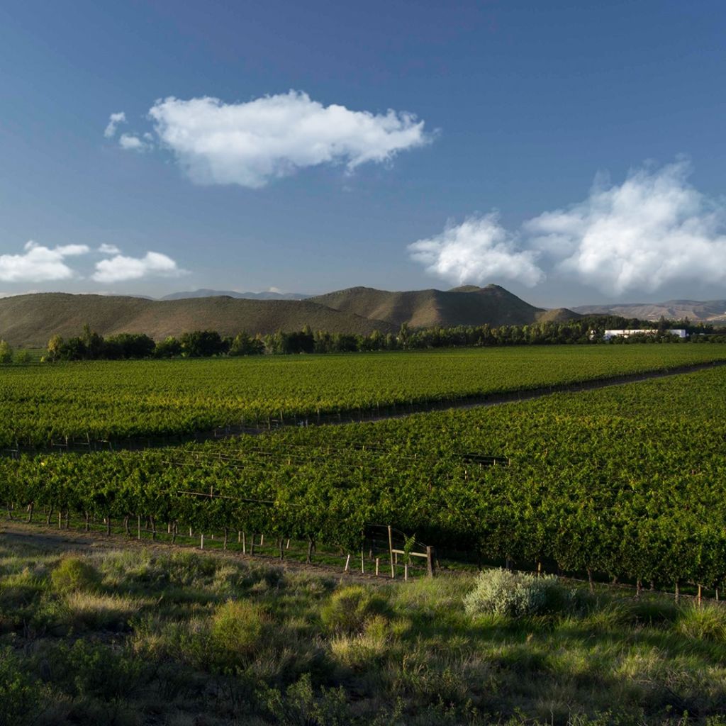 parras-de-la-fuente