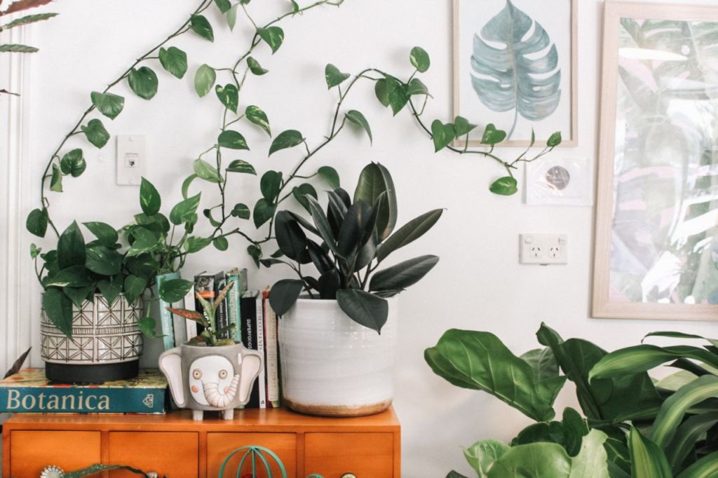 7 formas distintas de decorar tus espacios con plantas