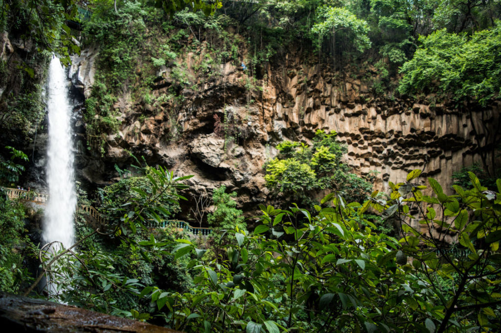 Todo lo que tienes que saber antes de visitar la cascada más bonita de Morelos (a hora y media de la CDMX)
