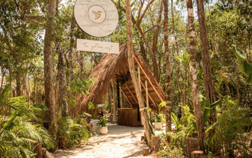 Estos nidos en medio de la selva de Tulum son perfectos para descubrir en pareja, además, ¡sirven desayunos flotantes como en Bali!