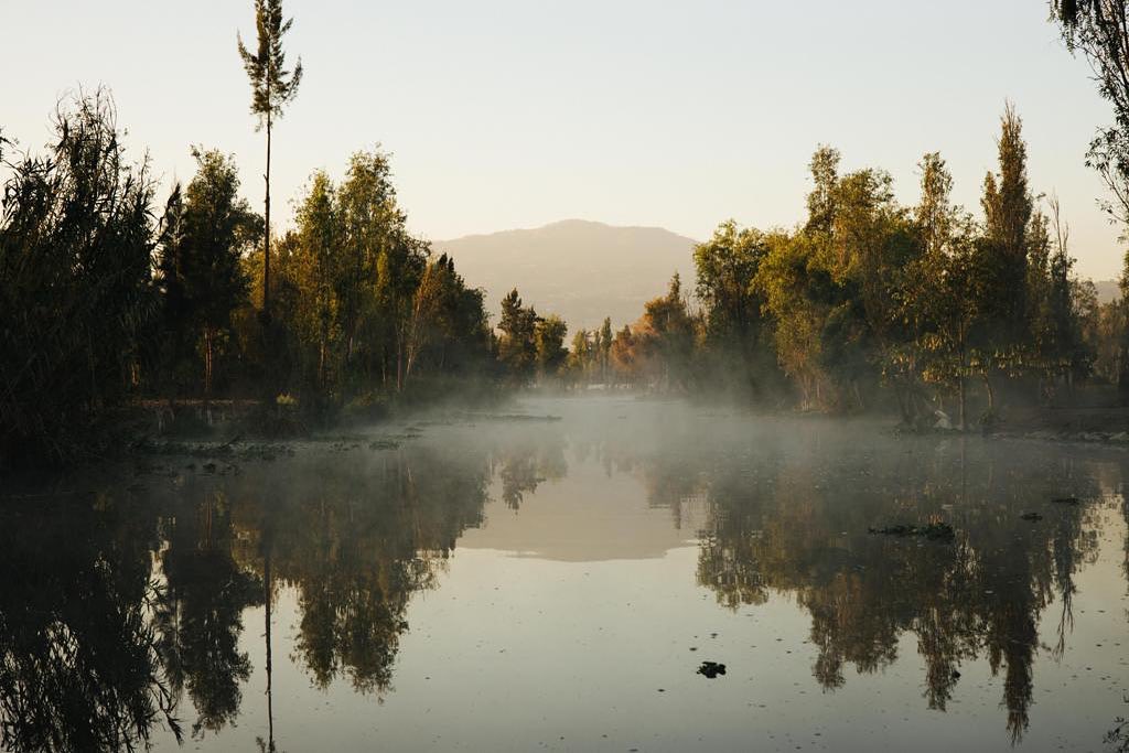 Amanecer en las chinampas, una experiencia sustentable que tienes que vivir en Xochimilco
