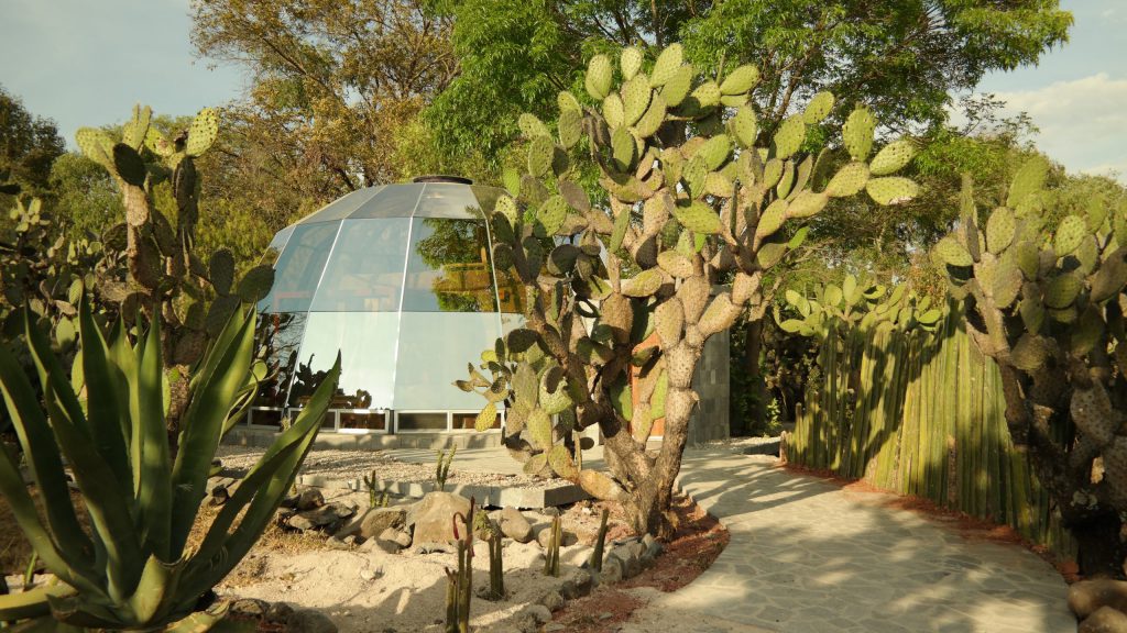 Conoce el glamping más lujoso localizado en medio de nopaleras y escenarios naturales (cerca de la CDMX)