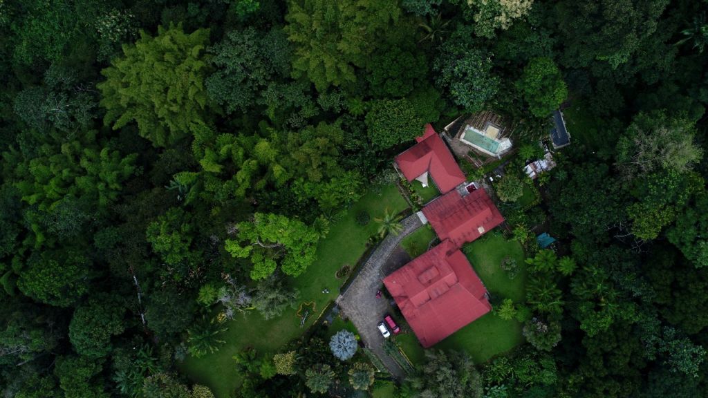 Estos bungalows se encuentran en medio de plantaciones de café orgánico de bosque