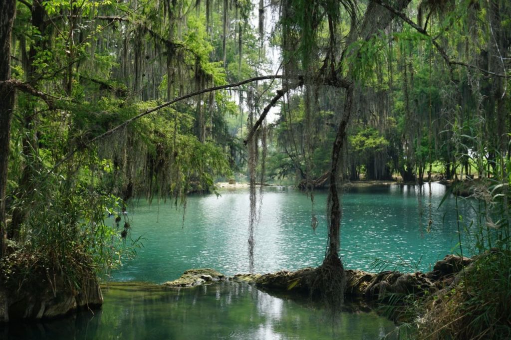 5 experiencias que hacer en Xilitla para vivir al máximo este destino (además de conocer su Jardín Escultórico)