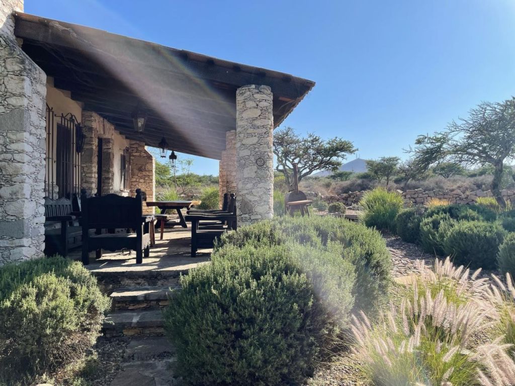 Hospédate en estas cabañas en medio de campos de lavanda a tan solo 3 horas de la CDMX