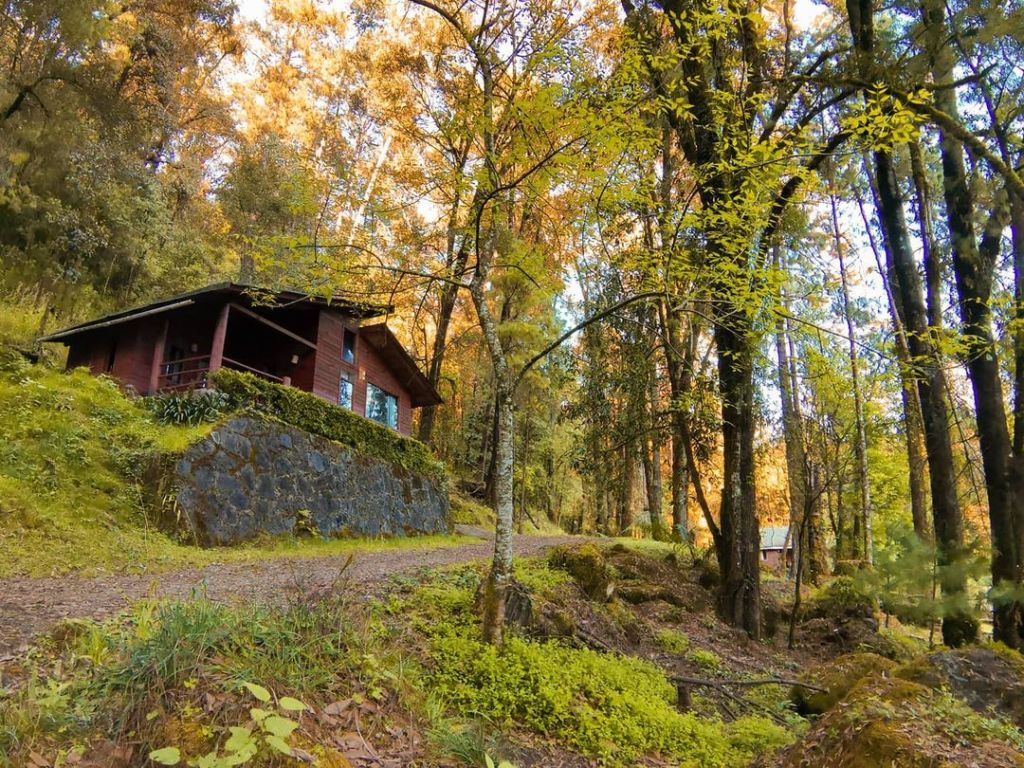 Cabañas Alpinas: un refugio rústico en Valle de Bravo con ceremonias ancestrales y experiencias románticas en pareja