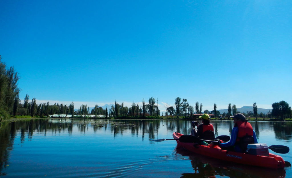 ¿Tour en kayak con tu perrito por los canales de Xochimilco? Te contamos todo al respecto