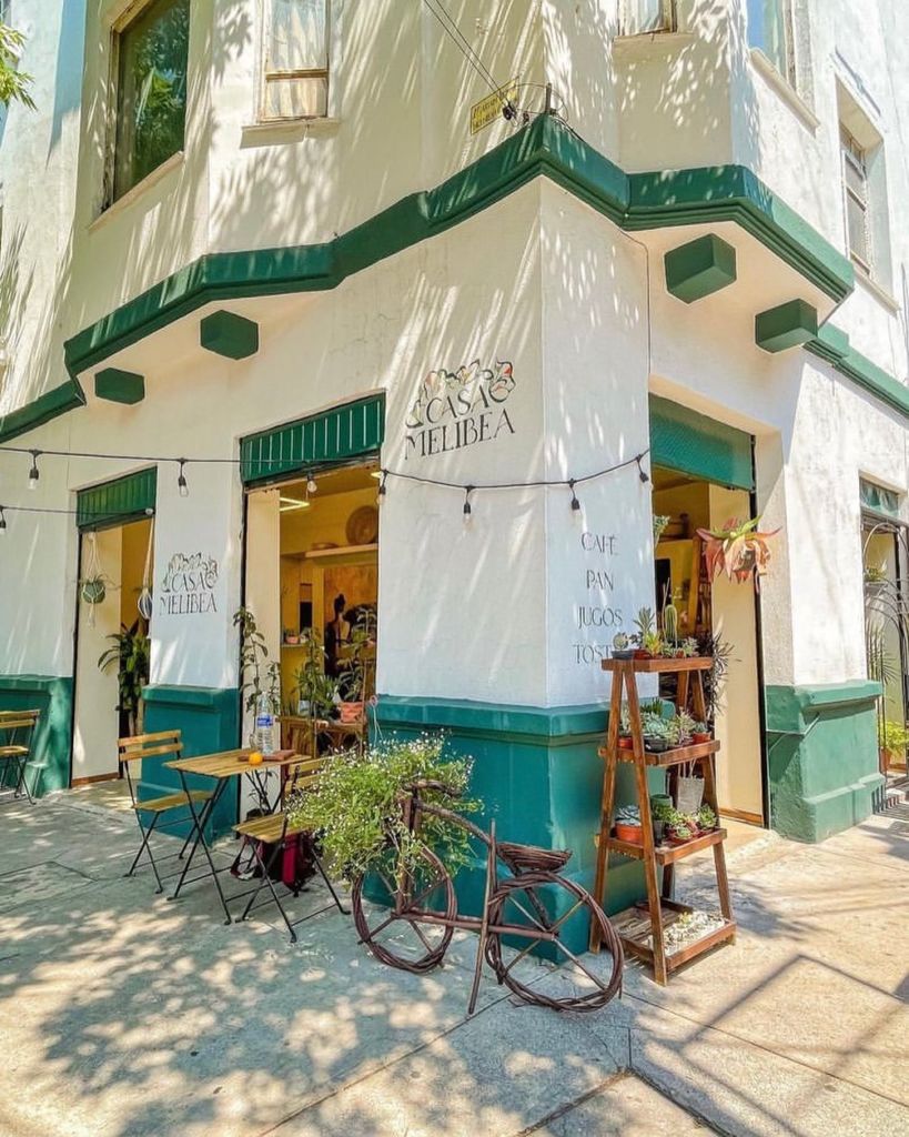 8 preciosas cafeterías ‘pet friendly’ en la Condesa para llevar a tu mascota