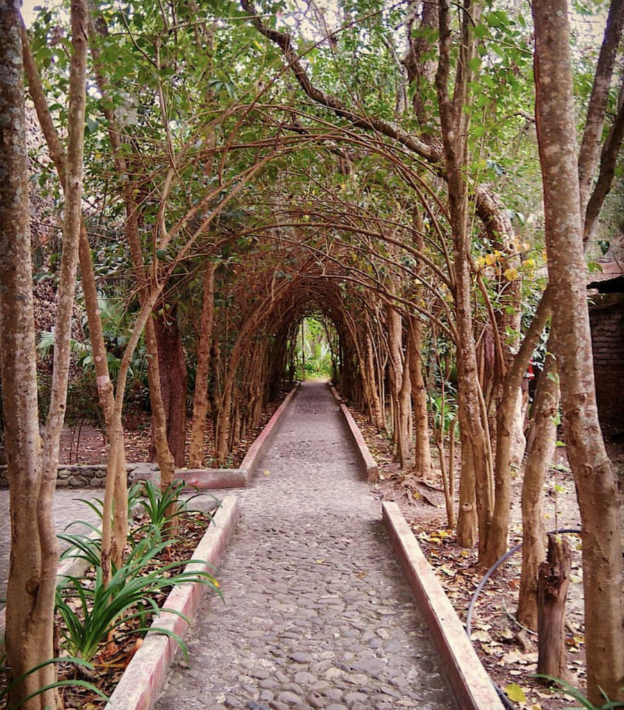 Conoce la hacienda más antigua de México, a solo dos horas de la CDMX