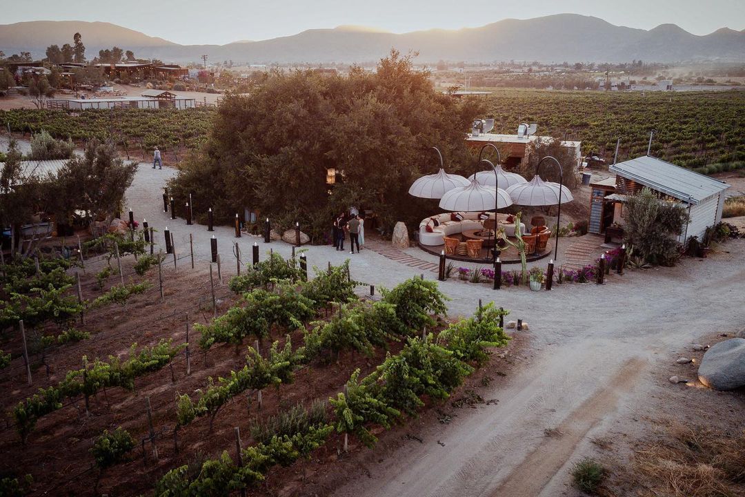 VISITA A LAS ESPINAS - VIÑEDO Y RESTAURANTE