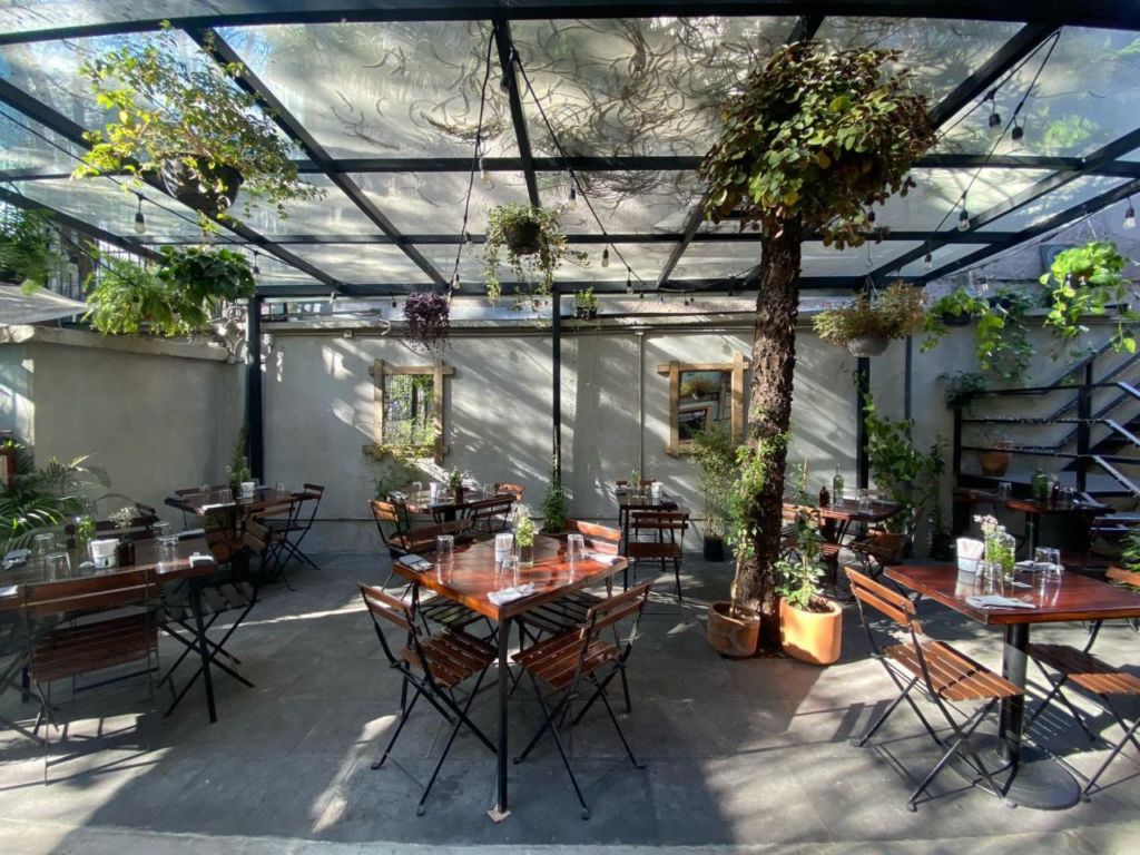8 de las terrazas nada caras y demasiado bonitas en la CDMX para comer delicioso