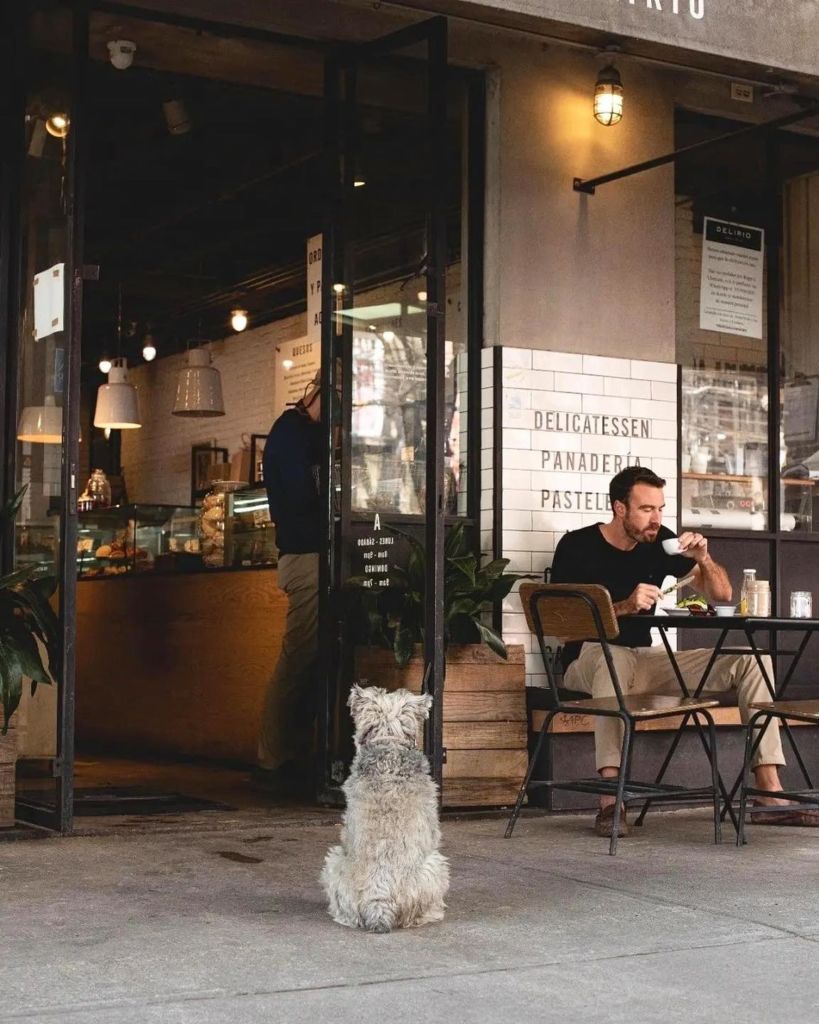 5 tiendas gourmet que todo ‘foodie’ debe conocer en CDMX