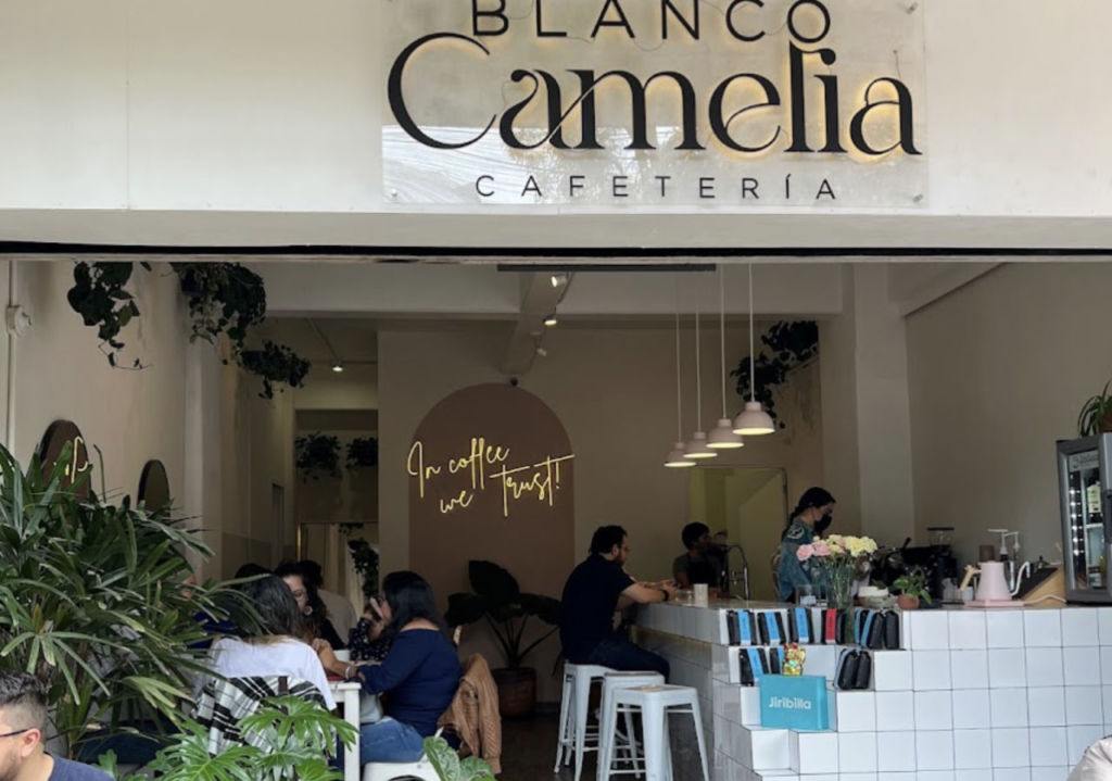 Blanco Camelia: la nueva cafetería rodeada de plantitas con un concepto ‘all day breakfast’