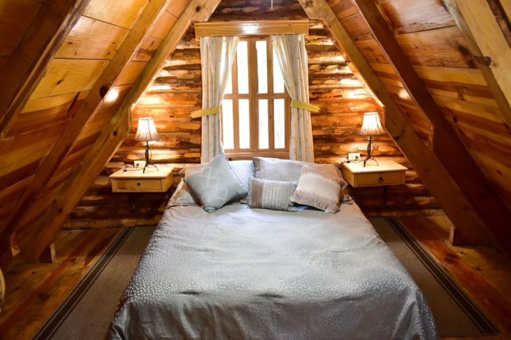 En estas cabañas cerca de una cascada podrás ver osos en su hábitat natural 