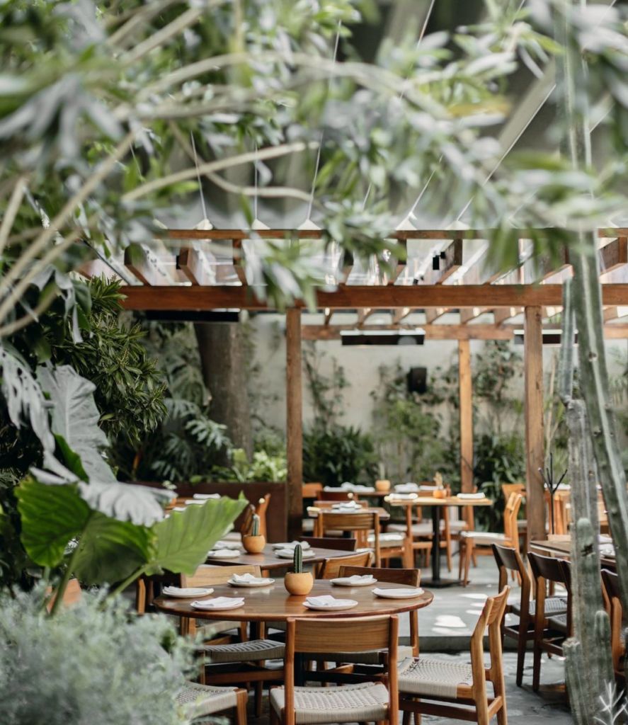 Restaurantes con jardín en la CDMX