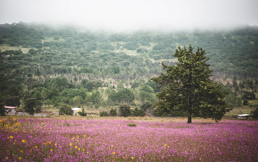 pueblos mágicos tradicionales