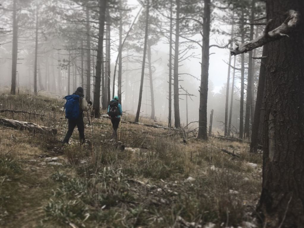 5 maravillosos destinos para conocer la nieve en México