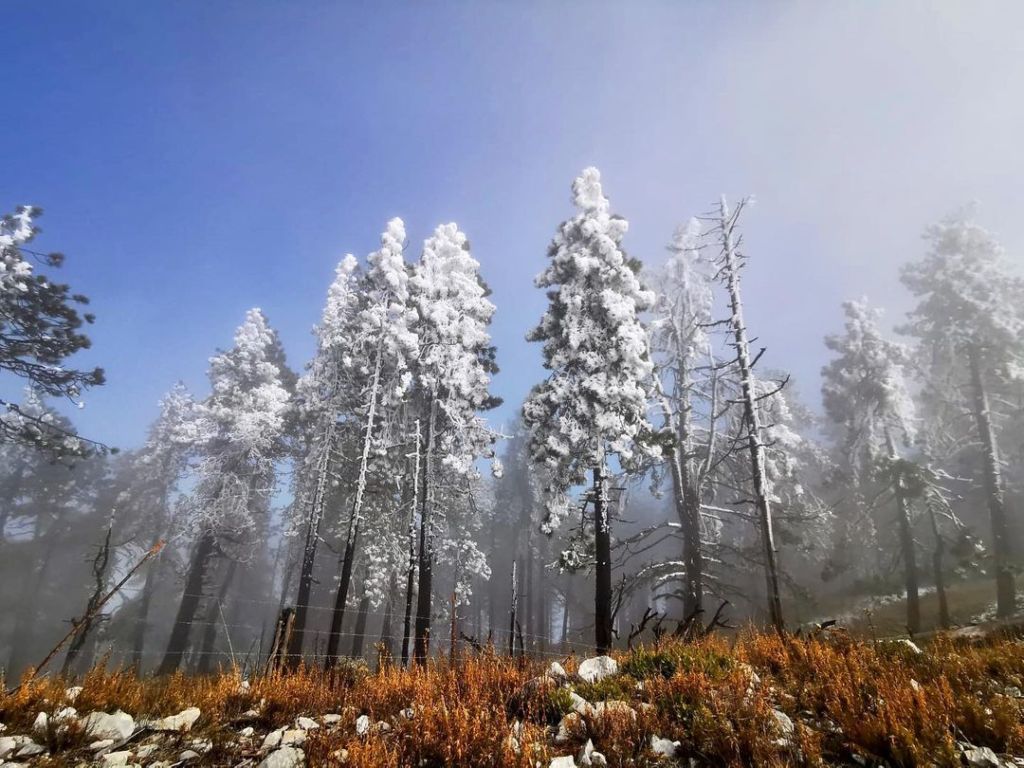 Descubre el precioso lugar de México en donde hay nieve todo el año
