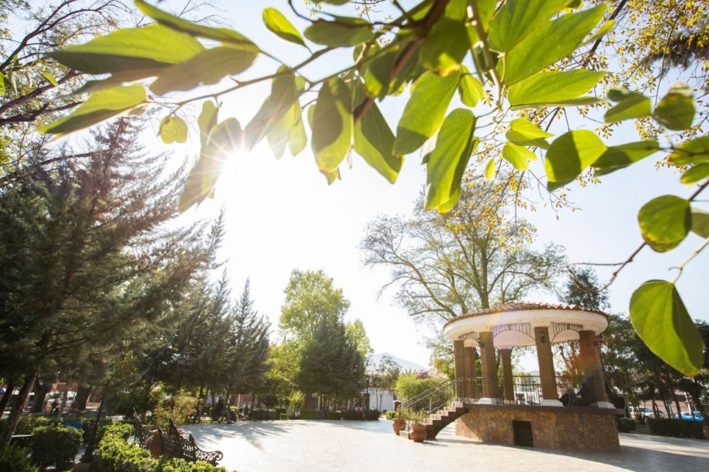 5 Pueblos Mágicos para amantes del vino