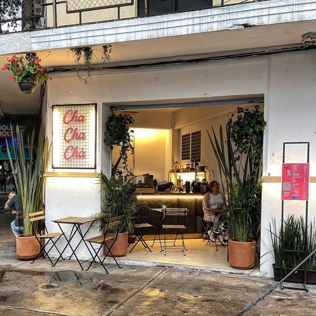 Este cafecito en la Narvarte te enamorará con sus rincones llenos de plantitas