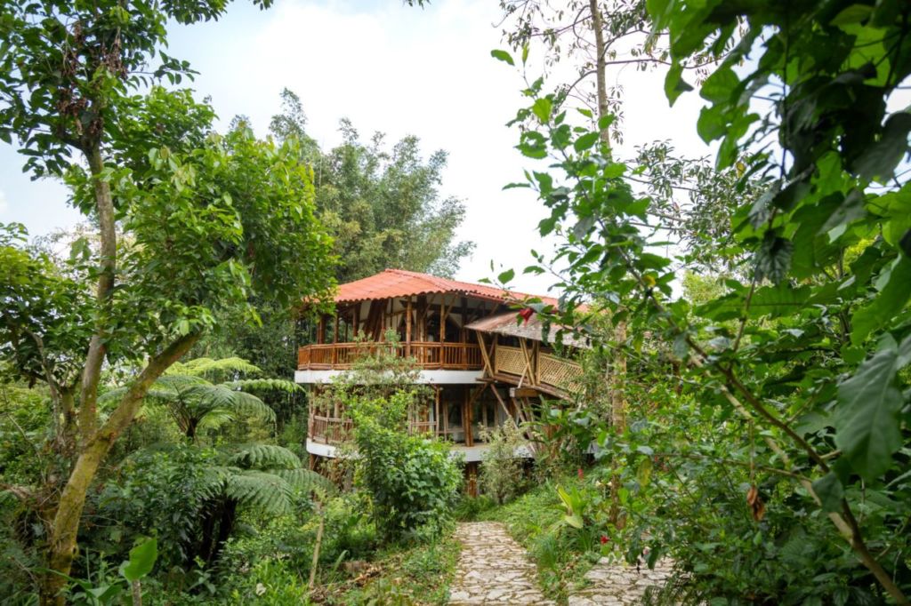Disfruta un retiro espiritual en estas cabañas de bambú en medio de la Sierra poblana
