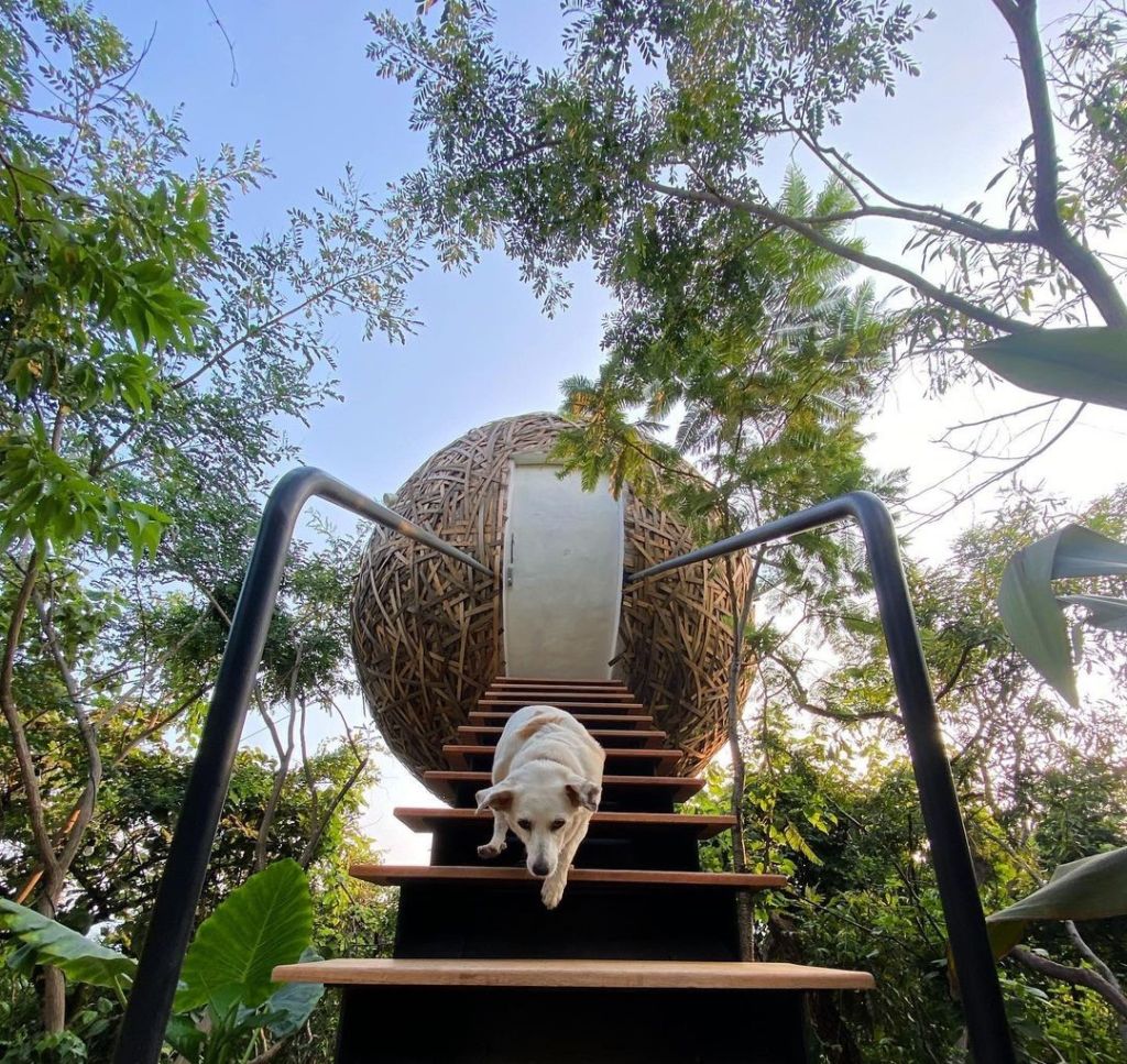 cabañas con jacuzzi