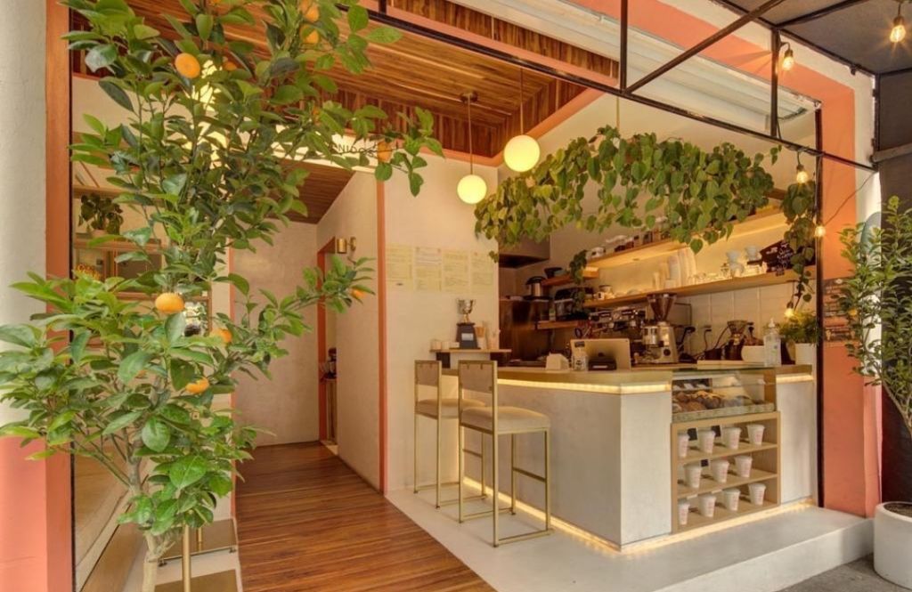 Este cafecito de la CDMX es el más ‘instagrameable’ y ‘aesthetic’ de la vida