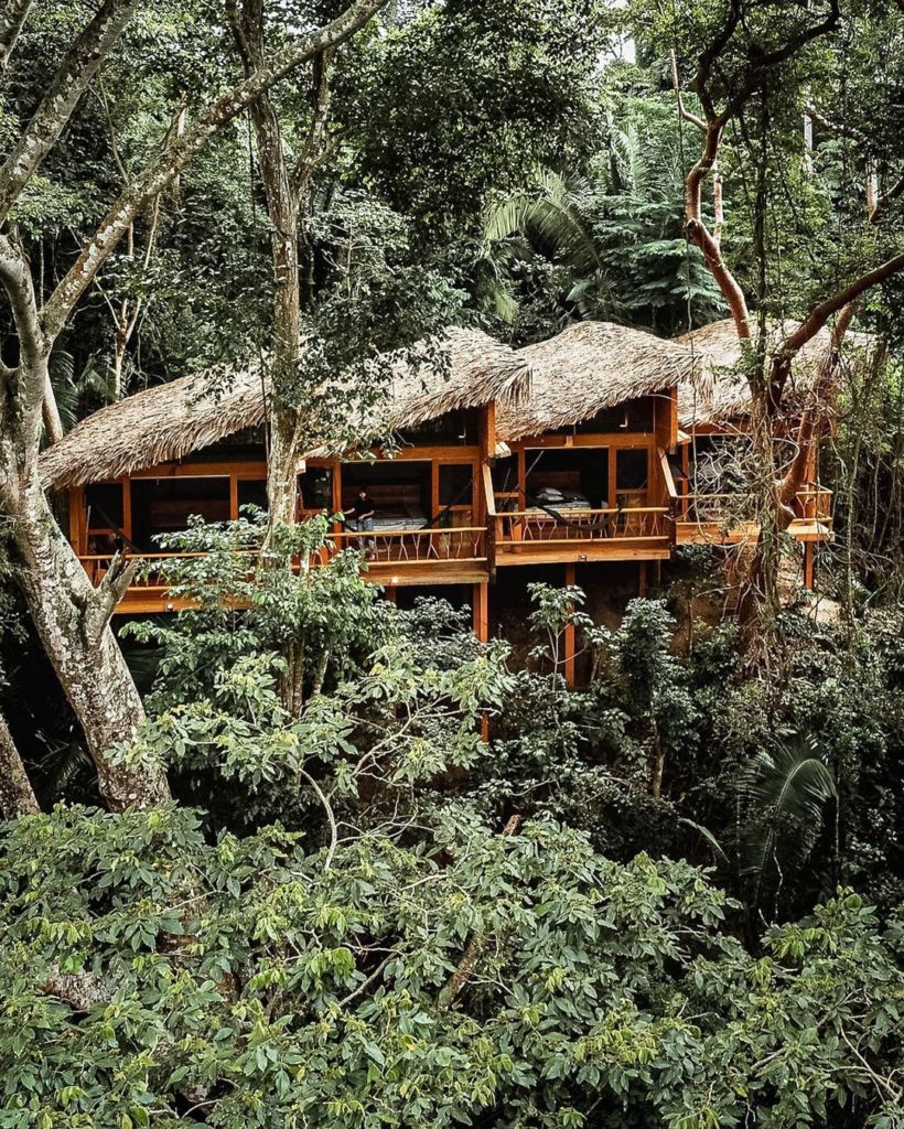 Pueblo del Sol: preciosas casas del árbol rodeadas de plantaciones de café oaxaqueño